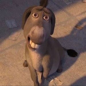 Meet your Posher, Brendan